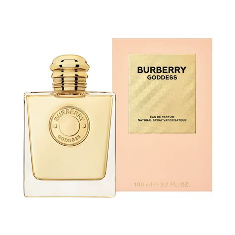 shopper burberry|shoppers Burberry perfume.